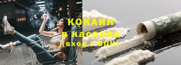 сатива Дмитровск