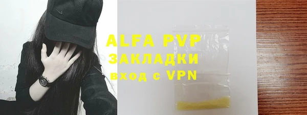сатива Дмитровск