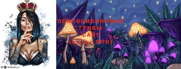 мяу мяу мука Гусев
