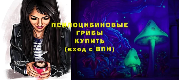 mix Гусиноозёрск